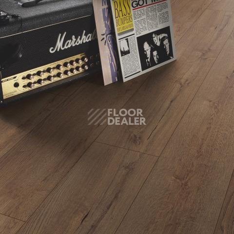Kronotex Exquisit 8мм d41172 Дуб Горизонт кофе фото 4 | FLOORDEALER